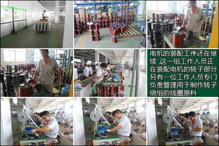 探訪綠源山東工廠 以嚴苛工序與尖端科技鑄就卓越產(chǎn)品